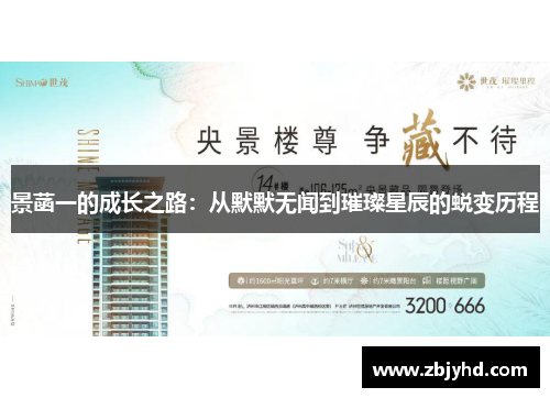 景菡一的成长之路：从默默无闻到璀璨星辰的蜕变历程